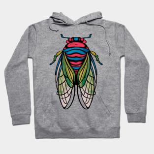 Cicada Fest 2024 Cicada Entomology Lover Broods XIX XIII Hoodie